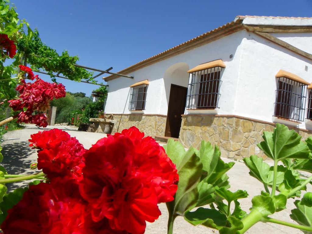 Casa Rural La Parada Ла-Хойа Экстерьер фото